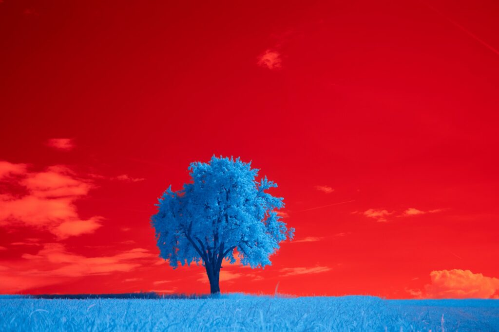 Árbol y vegetación azul sobre fondo rojo. Guía de sueños